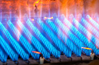 Bickerton gas fired boilers
